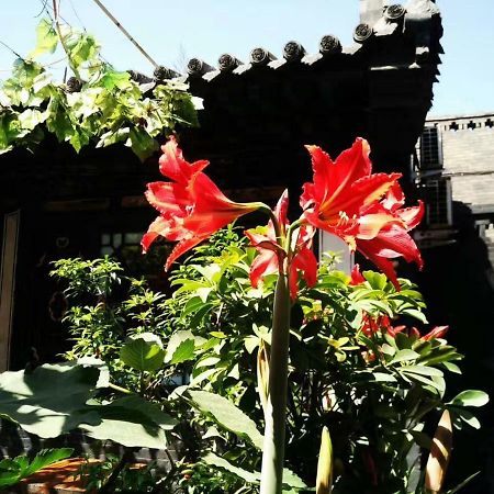 Pingyao Tian Yi Hostel ภายนอก รูปภาพ
